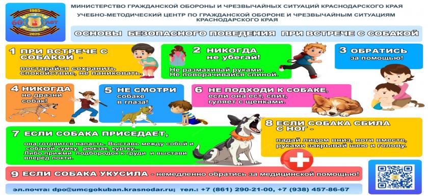 Б с собакой